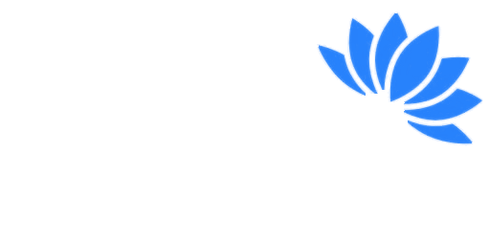system logo